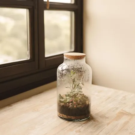 Lujosa Floravista 12 Personas Villa