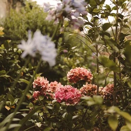 Lujosa Floravista 12 Personas Villa Valle (Asturias)