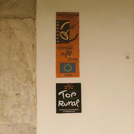 Lujosa Floravista 12 Personas Villa