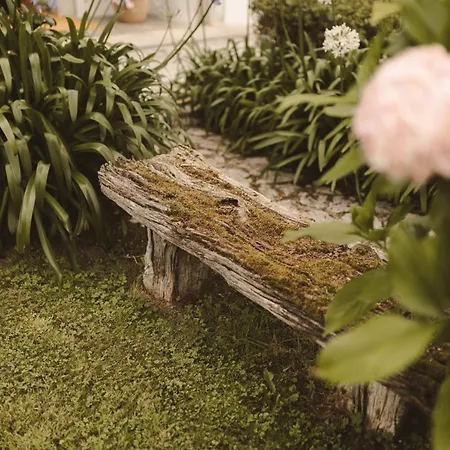 Lujosa Floravista 12 Personas * Valle (Asturias)