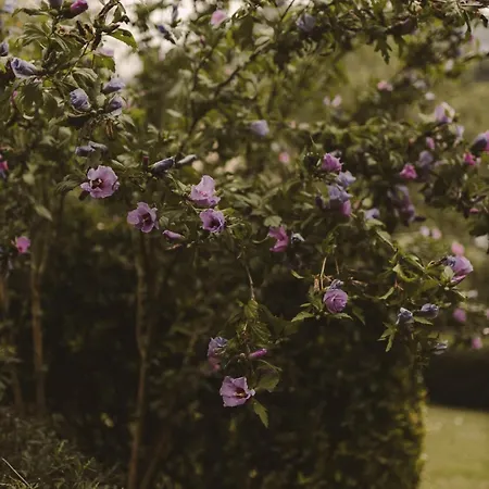 Villa Lujosa Floravista 12 Personas
