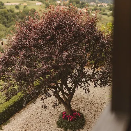 Lujosa Floravista 12 Personas Villa *