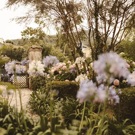 Lujosa Floravista 12 Personas Valle (Asturias)