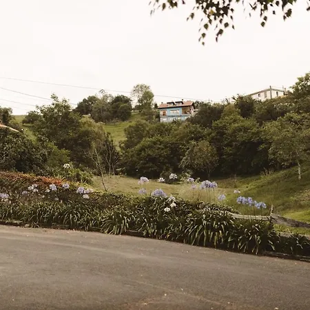 Lujosa Floravista 12 Personas