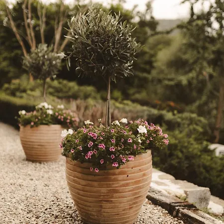 Lujosa Floravista 12 Personas