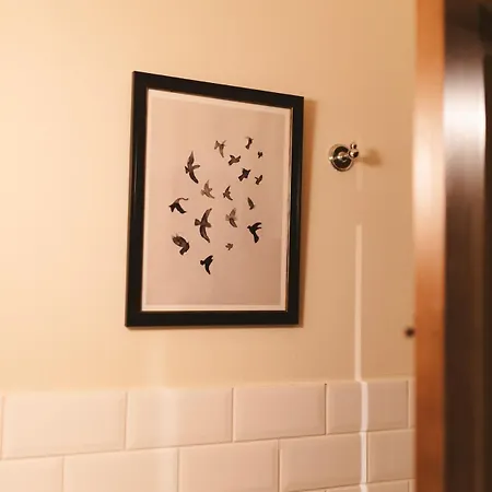 Lujosa Floravista 12 Personas