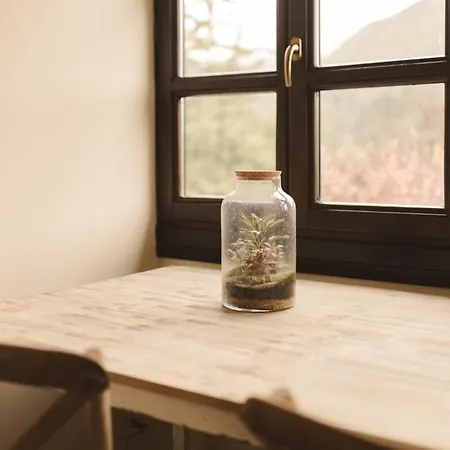 Lujosa Floravista 12 Personas Valle (Asturias)