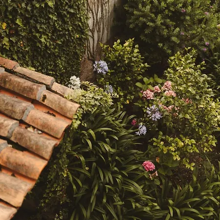 Villa Lujosa Floravista 12 Personas Valle (Asturias)